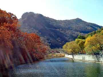 新澳天天开奖资料大全旅游团，宾利论坛